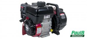 PaulB Wholesale Briggs and Stratton pacer pump